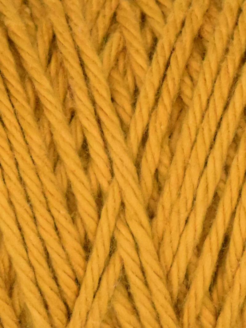 Coastal Cotton