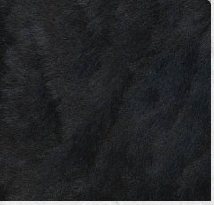 Furreal